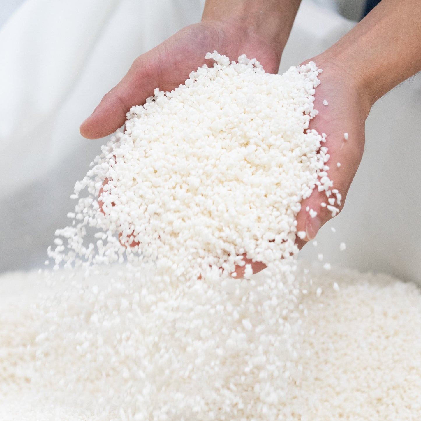 【毎月新酒1本が届く】四季醸造の天郷醸造所から毎月届くフレッシュなお酒(送料無料)