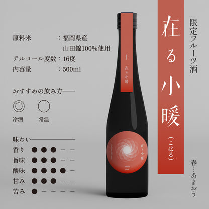 【送料無料】レモン＆いちごのお酒・新感覚SAKE 贅沢2本組セット 寒夜（かんや）&小暖（こはる） 500ml×2本