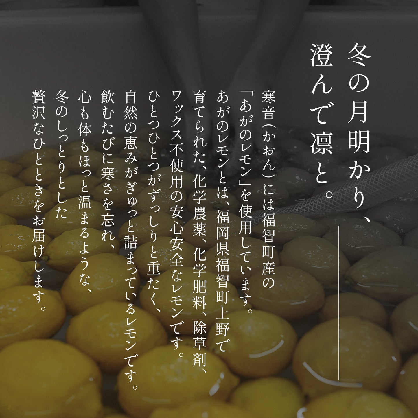 「在る寒夜（かんや）」レモンフレーバード 500ml