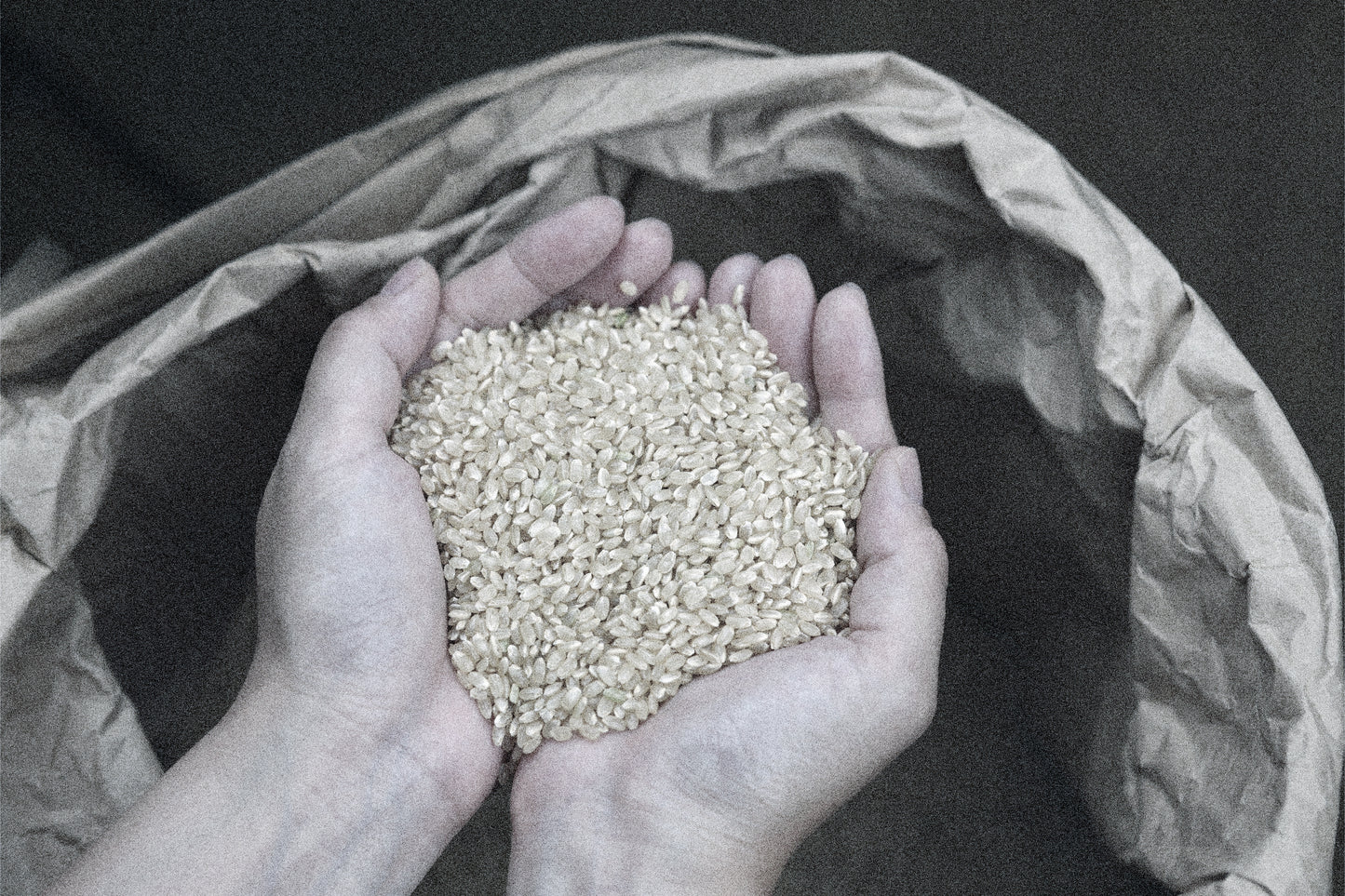 天郷 フラッグシップ 序 720ml 化粧箱付 | ギフト・贈答にも