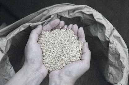 天郷 フラッグシップ 序 720ml 化粧箱付 | ギフト・贈答にも